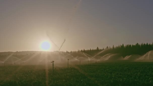 Jordbruk Pivotbevattning Används För Att Vattna Växter Gård Jordbruk Sprinkler — Stockvideo