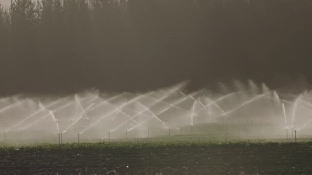 Jordbruk Pivotbevattning Används För Att Vattna Växter Gård Jordbruk Sprinkler — Stockvideo