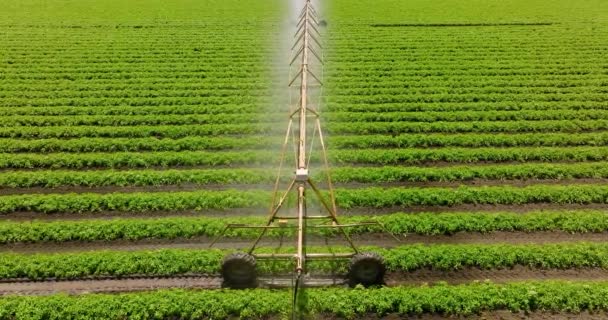 Agro Alimentaire Irrigation Pivot Utilisée Pour Arroser Les Plantes Dans — Video