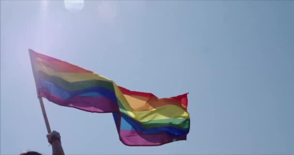 Bandera Del Arco Iris Del Orgullo Gay Lgbt Ondeando Durante — Vídeos de Stock