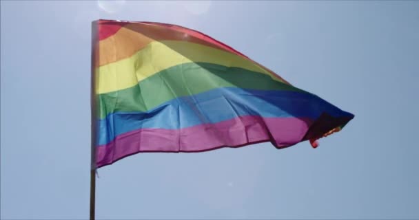 Lgbt Orgulho Gay Bandeira Arco Íris Acenando Durante Celebração Orgulho — Vídeo de Stock