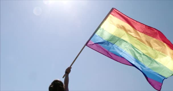 Lgbt Gay Pride Rainbow Flag Waving Pride Celebration People Rainbow — 비디오