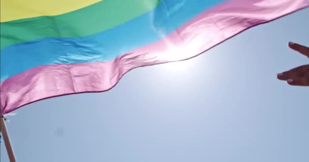 Hbtq Gay Stolthet Regnbåge Flagga Viftande Stolthet Fest Människor Med — Stockvideo