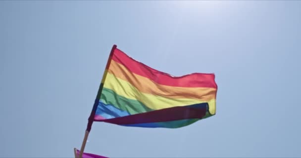 Lgbt Kebanggaan Bendera Pelangi Melambaikan Tangan Selama Perayaan Kebanggaan Orang — Stok Video