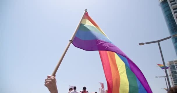 Lmbt Meleg Büszkeség Szivárvány Zászló Lengett Büszkeség Ünneplés Emberek Egy — Stock videók