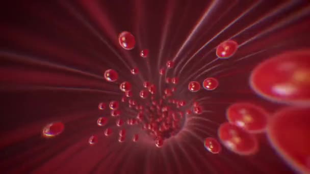 Red Blood Cells Flowing Blood Animation Blood Flows Arteries Animation — Stock Video