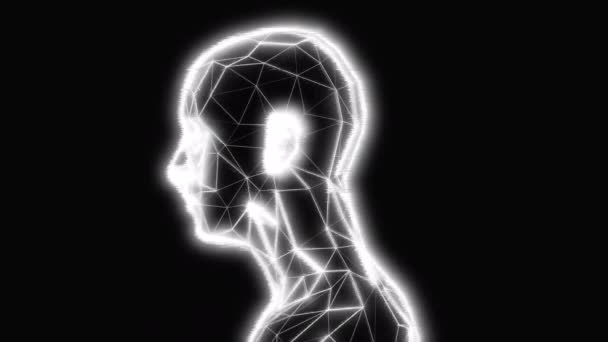 Pętli Animacja Nadis Kanały Energetyczne Organizmie Człowieka — Wideo stockowe