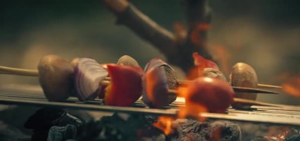 Tomates Champiñones Cebollas Frescas Fritas Fuego Comida Vegetal Parrilla Comida — Vídeos de Stock
