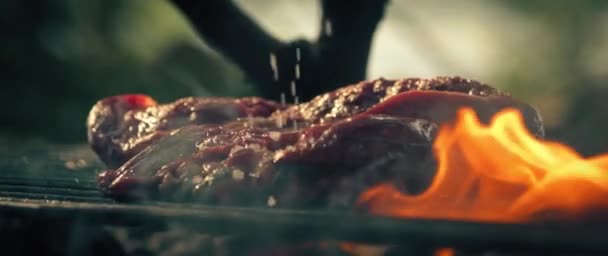 Large Sea Salt Falls Meat Steak Slow Motion Cooking Meat — Video