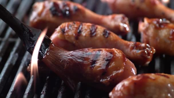 烤鸡肉 香草和调味品在燃烧的烤架上 — 图库视频影像