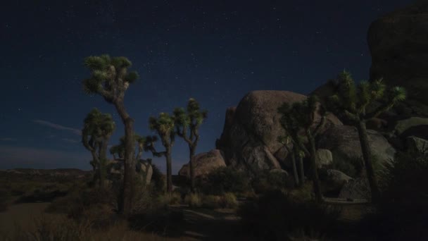 Starry Gecesini Hızlandırır Gökyüzü Yıldızlarını Gökyüzünde Bırakır Yıldızlı Gökyüzünün Arka — Stok video