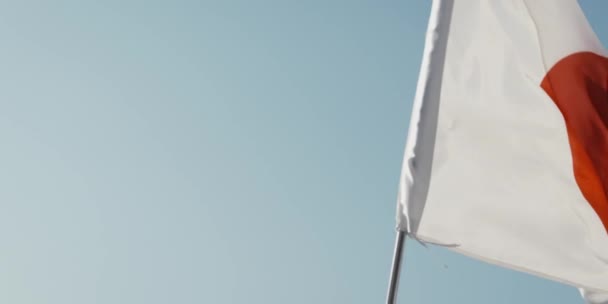 Japan Flag Flagpole Waving Blue Sky — Stock video