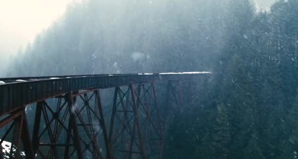 Nagranie Dronów Mostu Górach Most Pociąg Przez Las Piękny Widok — Wideo stockowe