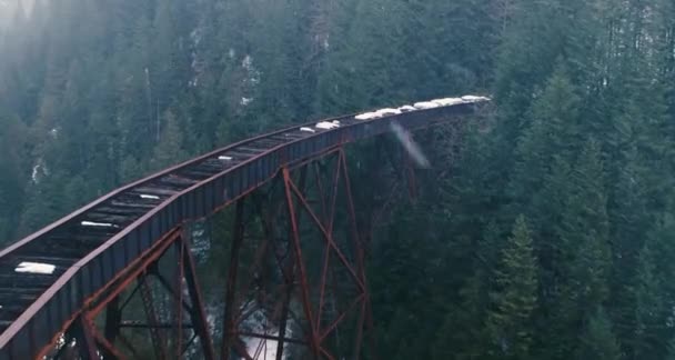 Aerial Drone Footage Bridge Mountains Bridge Train Forest Beautiful Mountain — Stock Video