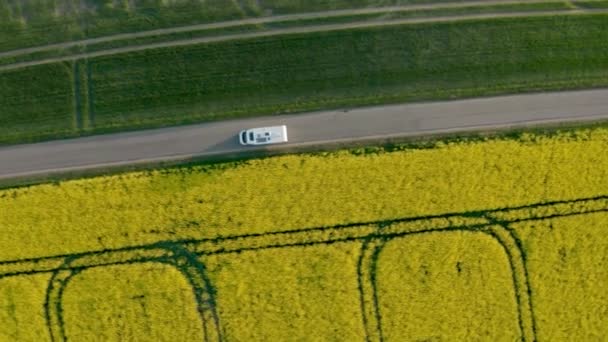 Drone Follows Brown Van Clear Blue Day Caravan Wheels Moves — Video Stock