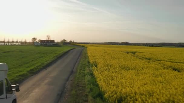 Drone Follows Brown Van Clear Blue Day Caravan Wheels Moves — Video Stock