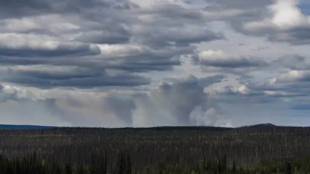 Timelapse Burning Fields Changing Climate Epic Footage Smoking Forest Fire — Vídeo de Stock