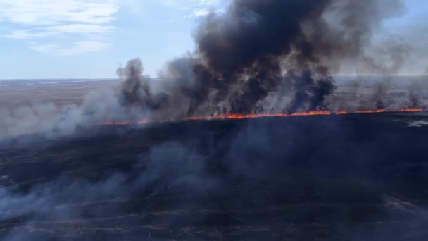 Changing Climate Epic Footage Smoking Forest Fire Air Forest Field — стоковое видео