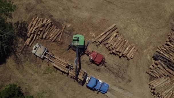 Unloading Wood Cargo Truck Ground Forest Stacking Wood Cargo Piles — 비디오