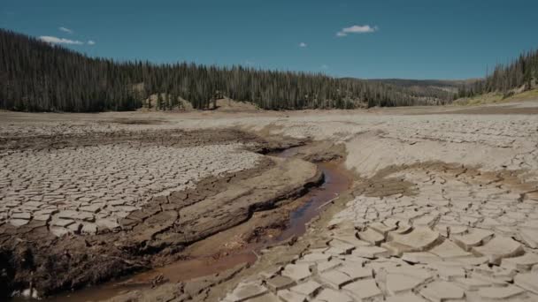 Changing Climate Deforestation Lakes Dry Humanity Cuts Forest Global Natural — Vídeos de Stock