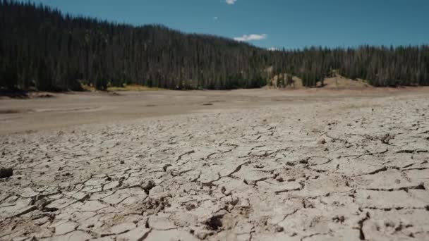 Changing Climate Deforestation Lakes Dry Humanity Cuts Forest Global Natural — Video