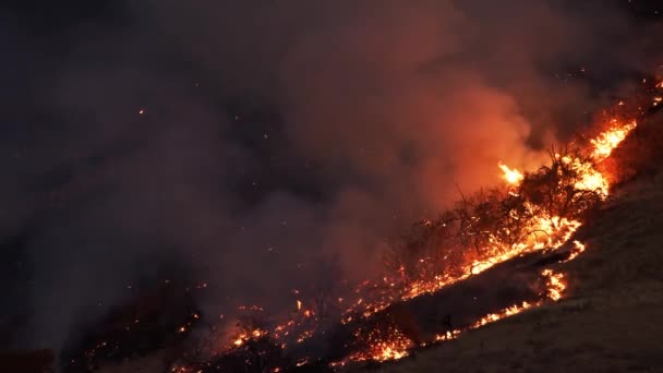 Changing Climate Epic Footage Smoking Forest Fire Air Forest Field — Vídeos de Stock