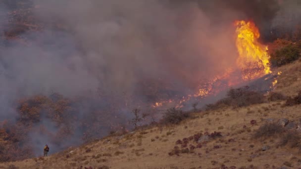 Changing Climate Epic Footage Smoking Forest Fire Air Forest Field — Stock video