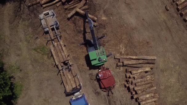 Unloading Wood Cargo Truck Ground Forest Stacking Wood Cargo Piles — Vídeos de Stock