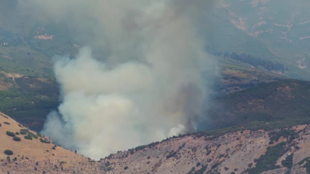 Changing Climate Epic Footage Smoking Forest Fire Air Forest Field — Video