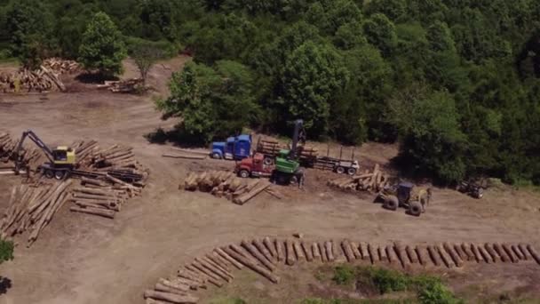 Unloading Wood Cargo Truck Ground Forest Stacking Wood Cargo Piles — Vídeos de Stock