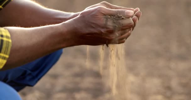 Close Male Hands Touching Dry Land Agricultural Field Soil Cultivated — Vídeos de Stock