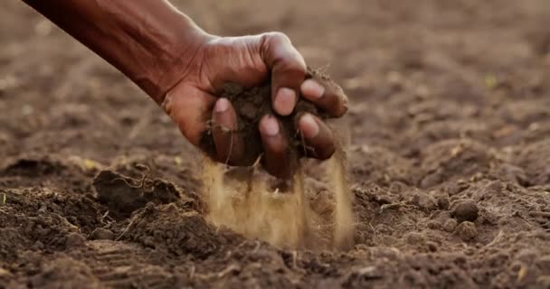 Close Male Hands Touching Dry Land Agricultural Field Soil Cultivated — Stockvideo