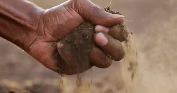 Close Male Hands Touching Dry Land Agricultural Field Soil Cultivated — ストック動画
