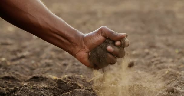 Close Male Hands Touching Dry Land Agricultural Field Soil Cultivated — Stok Video
