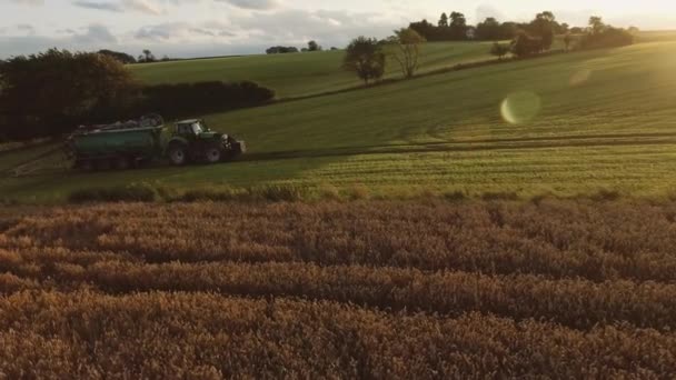 Büyük Bir Fıçı Çeken Bir Traktör Yeşil Bitkilere Sıvı Püskürten — Stok video