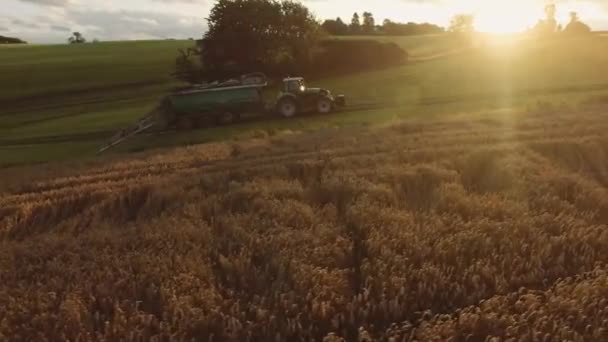 Campo Agrícola Trabajo Siembra Campo Tractor Con Una Sembradora Realizando — Vídeo de stock