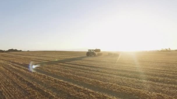 Tractor Verzamelt Hooi Het Veld Boeren Verzamelen Hooibergen Zetten Een — Stockvideo