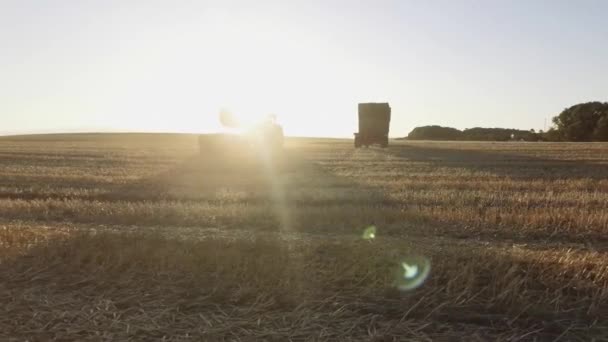 Traktor Samlar Ute Fältet Jordbrukare Samla Höstack Och Sätta Dem — Stockvideo