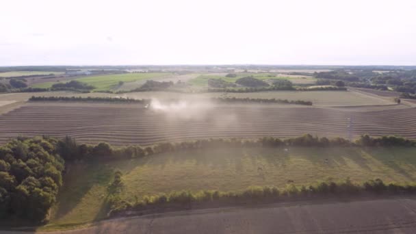 Combine Harvesting Wheat Combine Harvester Agricultural Machine Harvests Golden Ripe – Stock-video