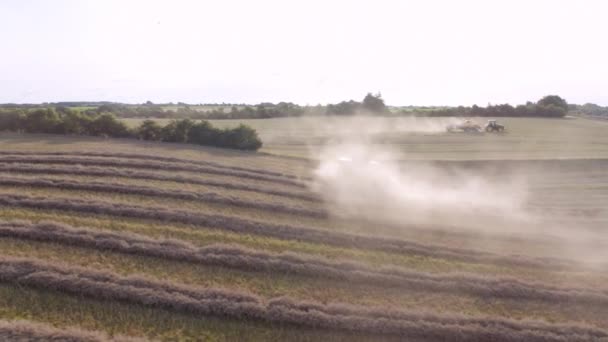 Combine Harvesting Wheat Combine Harvester Agricultural Machine Harvests Golden Ripe — Stock Video