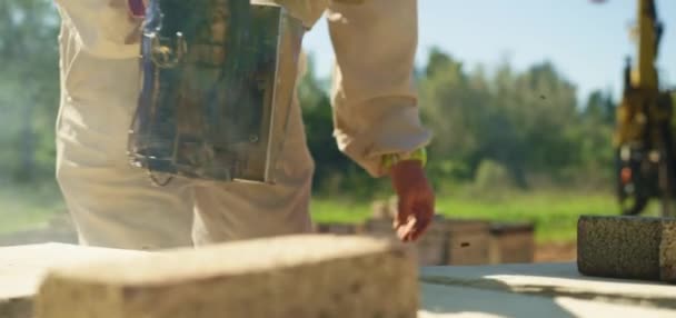 Μελισσοκόμος Έχει Μια Χτένα Γεμάτη Μέλισσες Μελισσοκόμος Επιθεωρεί Πλαίσιο Της — Αρχείο Βίντεο