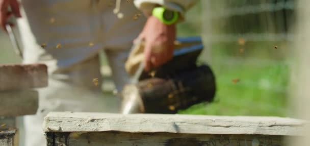 Koruyucu Elbiseli Bir Erkek Arı Yetiştiricisi Kovandaki Arıları Sakinleştirmek Için — Stok video