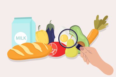 Sağlıklı besin güvenliğinin düz vektör çizimi kavramı. Büyüteçle bir el yemek üzerinde çalışıyor. Pankart, web sitesi, iniş sayfası şablonu, reklam ve el ilanı için