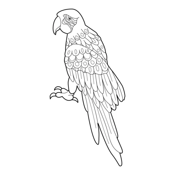 Kontur Liniowy Ilustracja Kolorowania Książki Dekoracyjną Papugą Piękny Ptak Antystresowe — Wektor stockowy