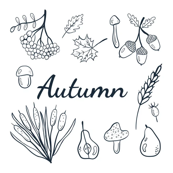 Cute Autumn Set Scribbles Cozy Autumn Rowan Mushrooms Leaves Pear — Stock Vector