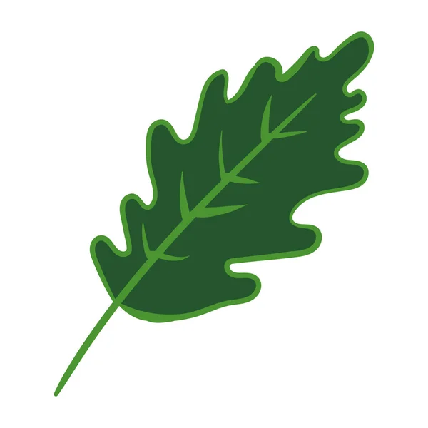 Oak Leaf Vector Illustration Scribbles Theme Cozy Autumn Cute Element — Διανυσματικό Αρχείο