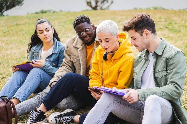 Group of students studying the lesson sitting on grass at the campus park. High Quality Photo