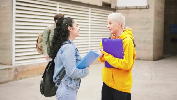 Dos Jóvenes Estudiantes Chicos Saludando Coqueteando Con Dos Amigas Campus — Vídeos de Stock