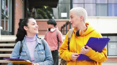 Bir grup genç kız öğrenci dedikodu hakkında konuşuyor, üniversite kampüsünde eğleniyorlar. Arka planda, bir grup genç sınıf arkadaşı üniversiteye gidip ders alacak.