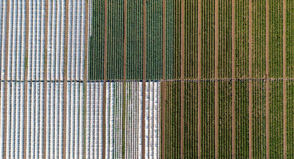 Luchtfoto Van Een Landbouwgebied Groenten Verbouwen Kassen — Stockfoto
